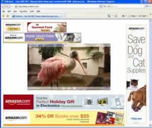 ASP.NET-MVC3-Slideshow.jpg