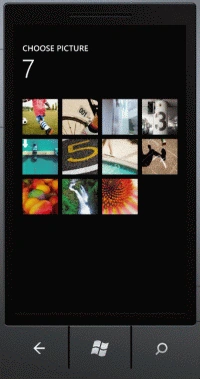 image12.gif