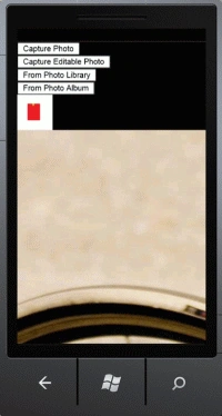 image13.gif