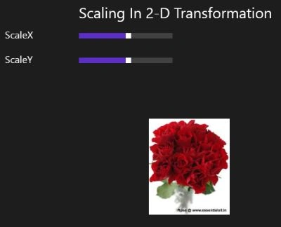 Output-Of-Scaling-In-2-D-Transformation.jpg