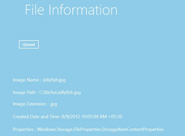 Display-all-the-information-of-files-In-Windows-8-apps.jpg