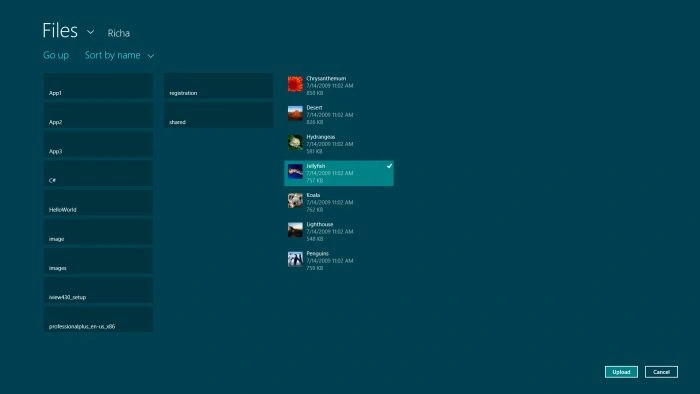 Display-the-available-list-of-files-In-Windows-8-apps.jpg