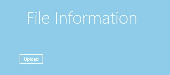 Output-Screen-Of-File-Information-In-Windows-8-Apps.jpg