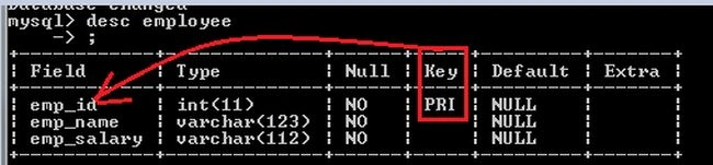 employee-table-descripition.jpg