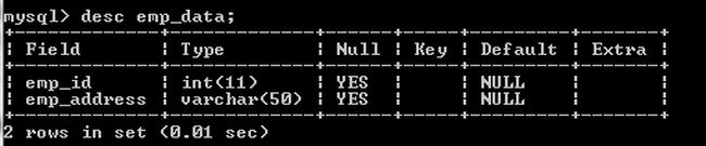 empdata-table-description.jpg