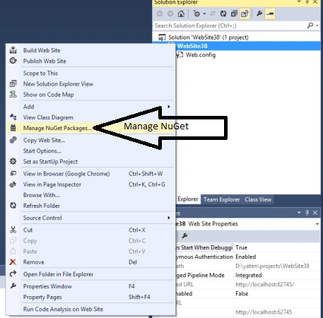 Manage NuGet