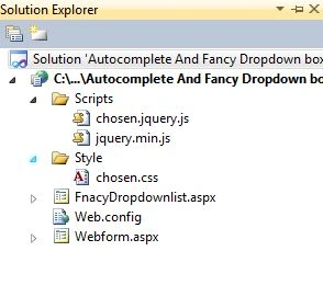 js and css file