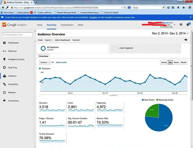 audience overview