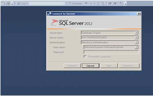 Connect to your SQL server