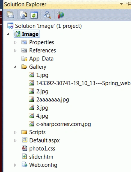 Solution Explorer