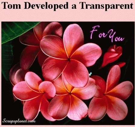 Tom developed