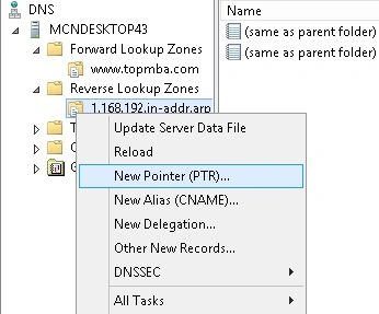 dns34.jpg