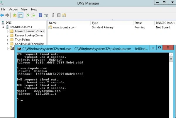 dns38.jpg
