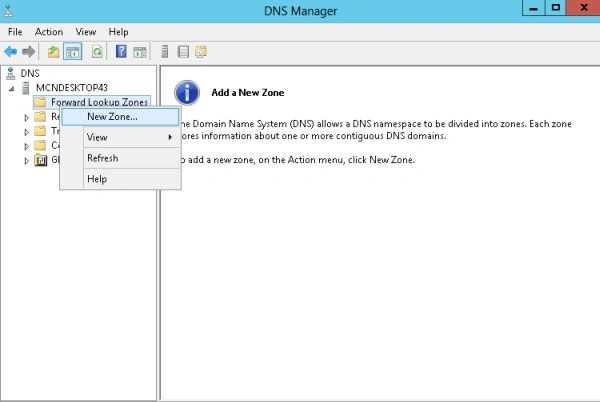 dns17.jpg