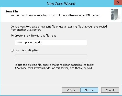 dns21.jpg
