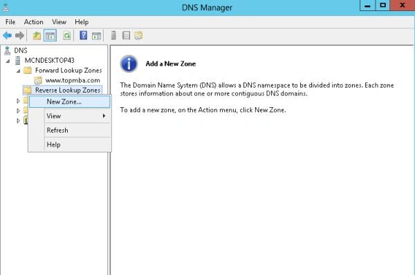 dns26.jpg