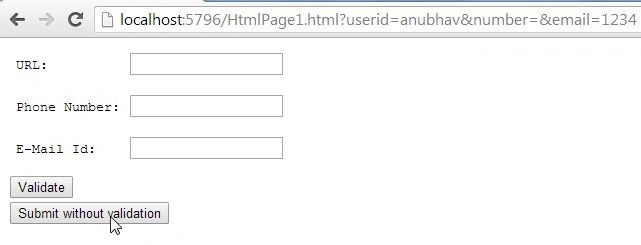 formnovalidate