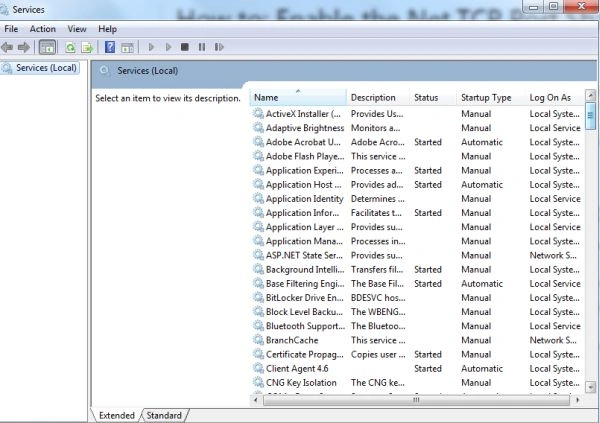 Services window
