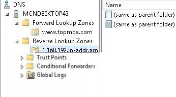 dns9.jpg