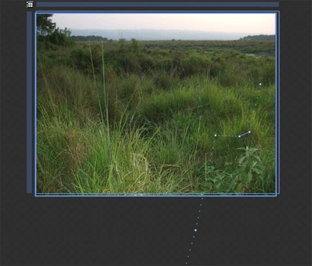 image6.gif