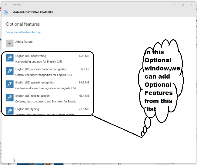 Manage Optional Features