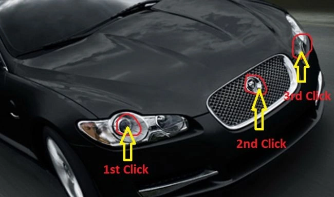 jaguar3