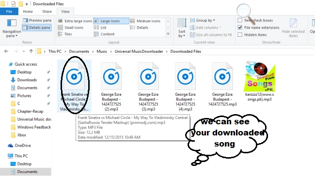 Downloaded tracks