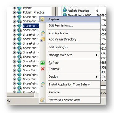 Exploring Web App in IIS Manager