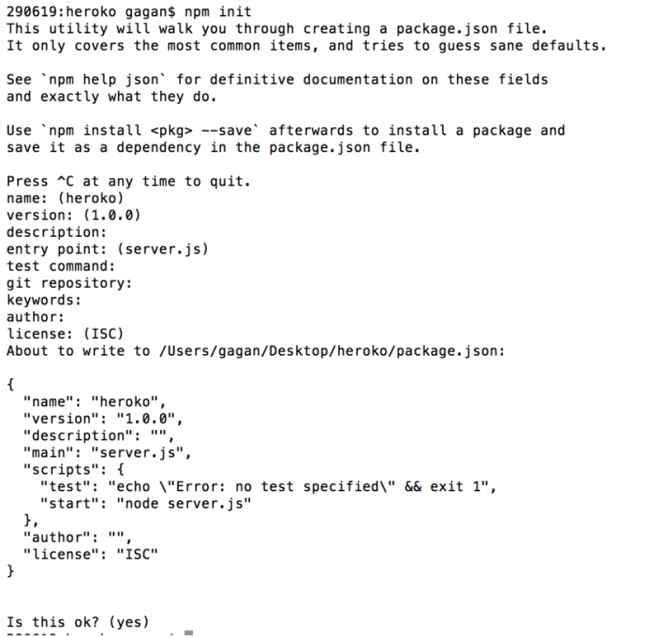 npm init