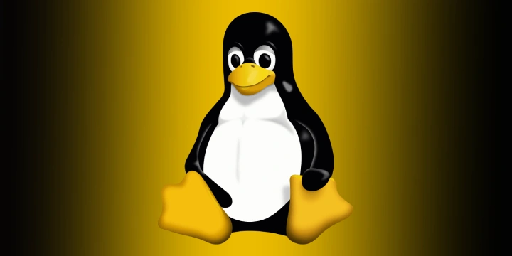 Linux Administrator