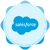 Salesforce badge