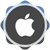 iOS Programming badge