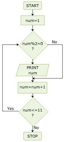 Do While Statement