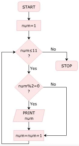 While Statement