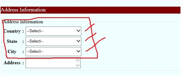 Address information