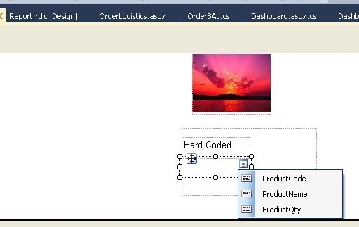 Report-Viewer-Control-In-VS-2010-7.jpg