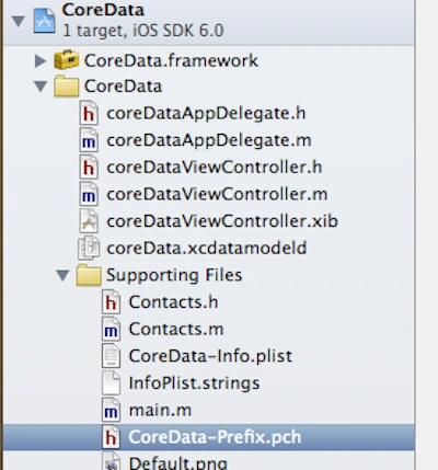 supporting-file-in-iPhone.png