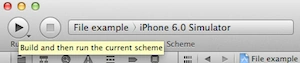 run-app-in-iPhone.png