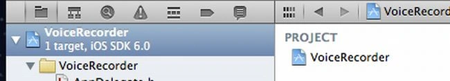 select-project-in-iPhone.jpg