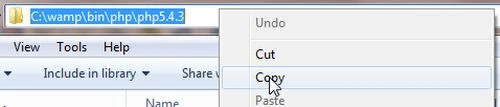 copy path
