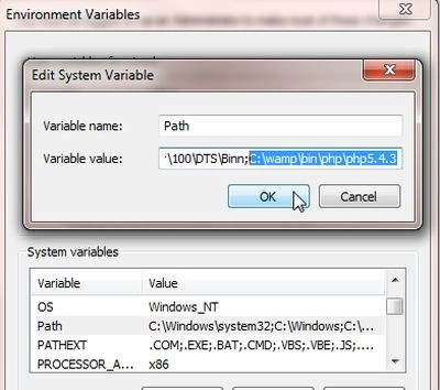 environment variable path