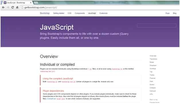 JavaScript