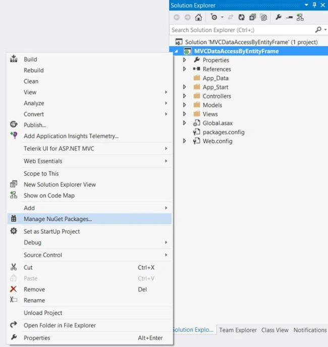 nuget package manager 