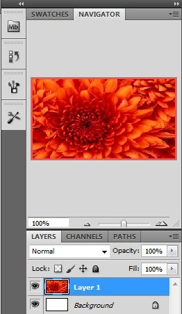 layer.jpg