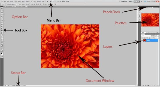 photoshop.jpg