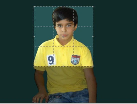 crop style.jpg