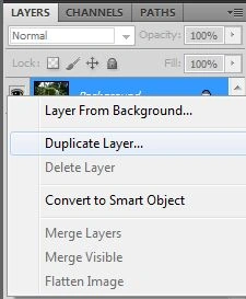 Clipboard01.jpg
