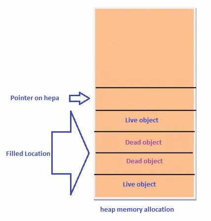 image1.gif