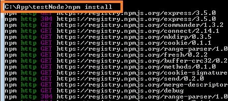 npm Install