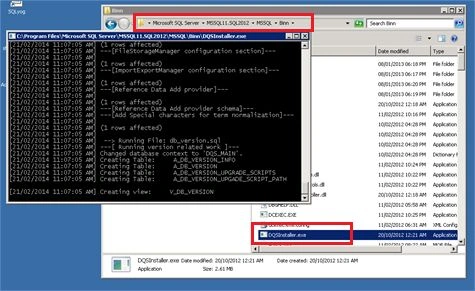 Data Quality Server installation